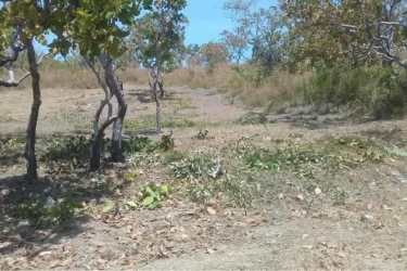 Open undeveloped land with gentle slope and green trees near Rio Mar surf beach Panama