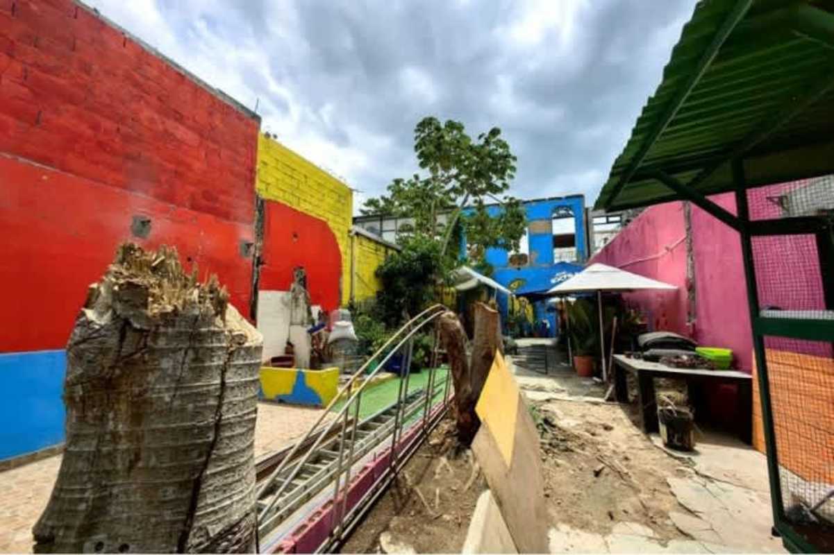 Urban courtyard space with colorful painted walls and plants Casco Viejo Panama