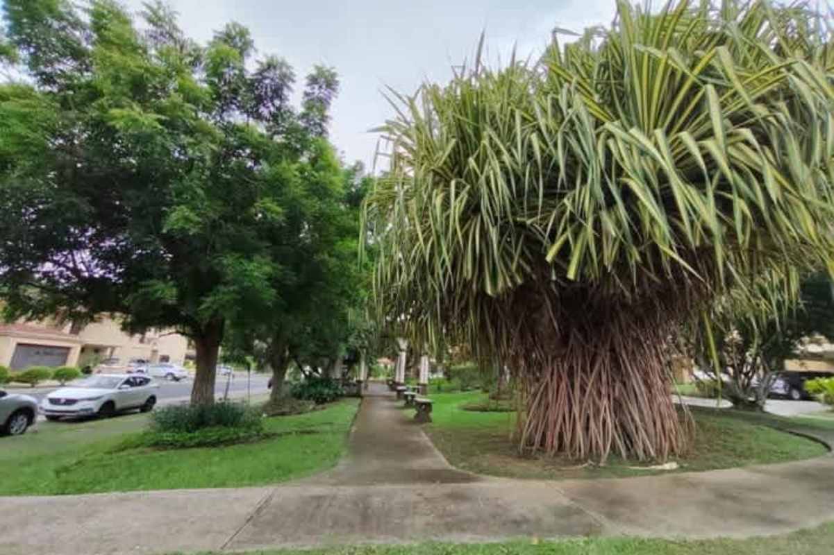 Modern outdoor playground family friendly amenities Embassy Club Clayton Panama