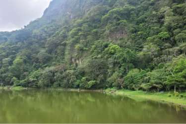 Dense forest and mountain pasture in La Laguna, San Carlos, with natural clearings under partly cloudy sky.