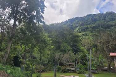 Green hills covered in tropical forest perfect for reforestation projects or cabins in La Laguna San Carlos.