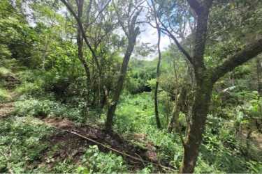 Green mountain view with dense vegetation perfect for farm or eco-resort in Panama.