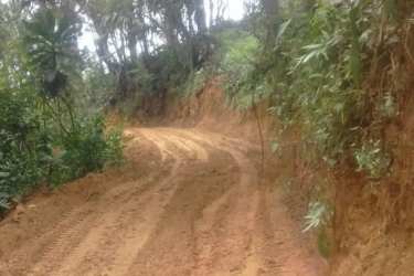 Mountain Coffee Farm 4.7Ha Altos del María in Sora | Casa Nova Realty - View 2