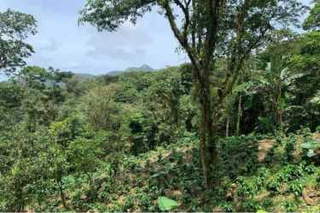 Property for rent in Panama City - 0 bedrooms