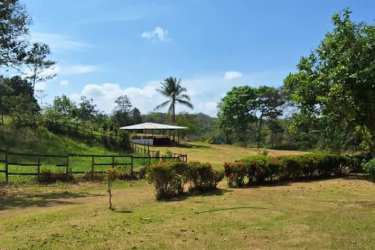 View of rustic farmhouse with tiled roof, concrete walls, green lawn, Nuevo Emperador farm for sale