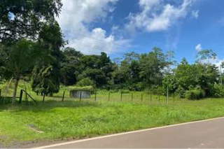 Land / Farm for Sale in Nuevo Emperador - 3 bedrooms