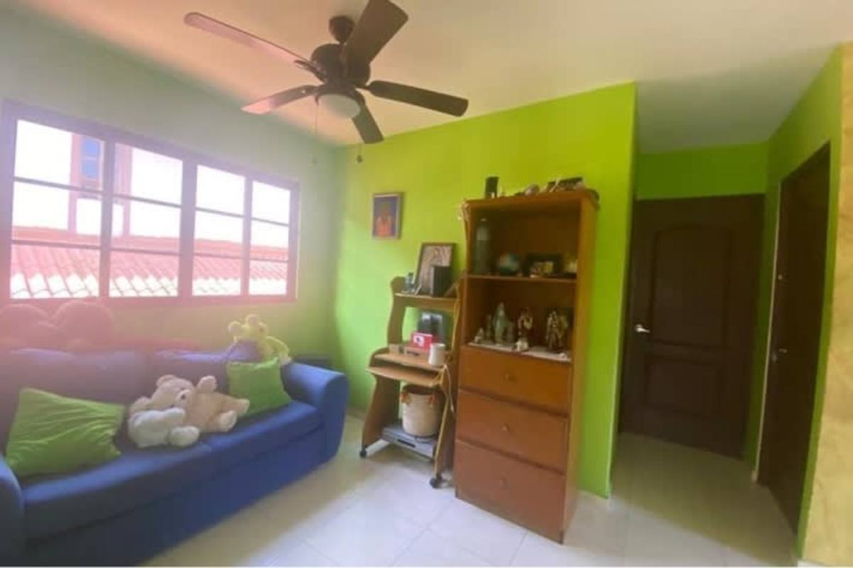 Small lounge with blue sofa green walls large window Las Cumbres Panama