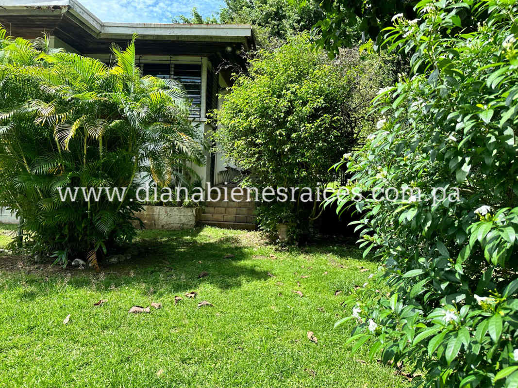 Large swimming pool with tropical landscaping in a private fenced backyard in El Carmen