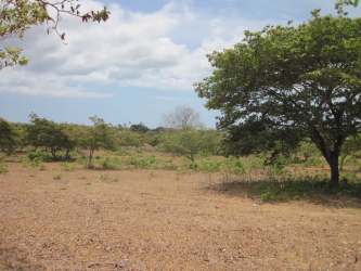 Wide tract of land with countryside views El Chiru Cocle Panama