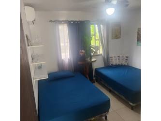 Swimming pool with palm trees and garden at PH Piedras Gordas beach home Panama