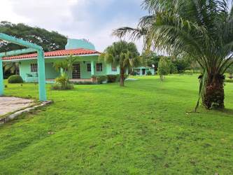 Mint green single family house on large lawn surrounded by palm trees at Coronado beach