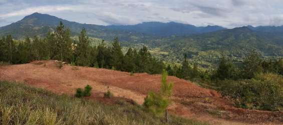 Cleared rural land plot with mountain view surrounded by jungle Santa Fe Panama