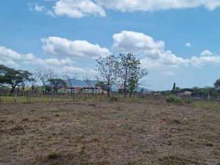 Land Lot for Sale in Chame - 0 bedrooms