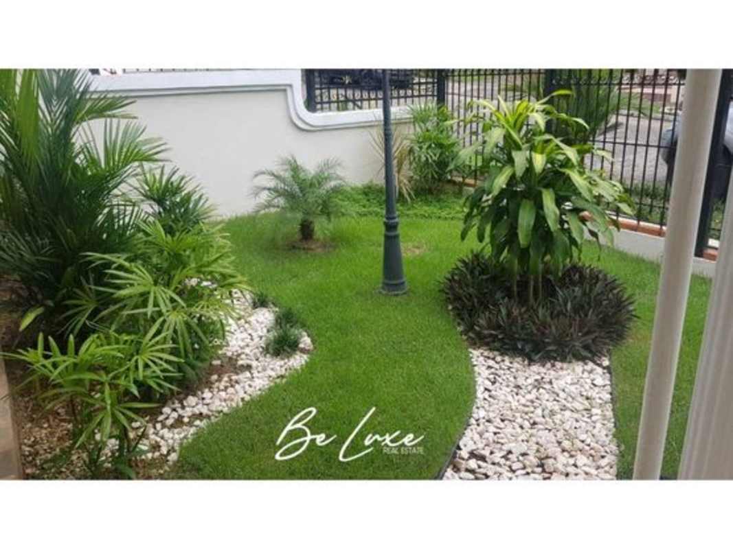Rectangular swimming pool with garden wall privacy in Bethania Panama