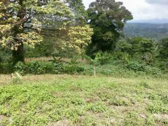 Mature trees and green open land in the hills of Renacimiento Chiriqui Panama