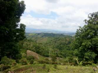 Lush green farmland with rolling hills and forest edges in Renacimiento Chiriqui Panama