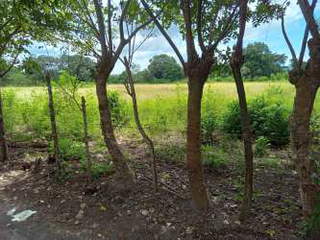 Land for Sale in El Tejar - 0 bedrooms