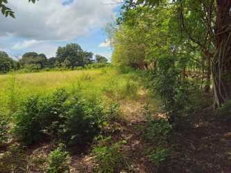 Wide rural grassy area with natural foliage perfect for farming or ranching in El Tejar