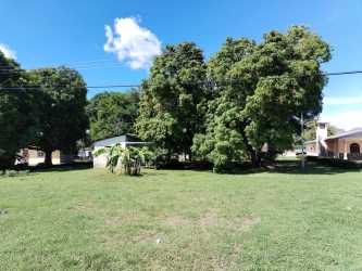 Spacious grassy lot with shade trees, residential setting in Chame Panama for sale