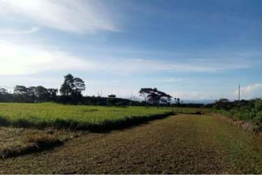 Expansive rural lot with distant mountain views in Chiriquí Panama