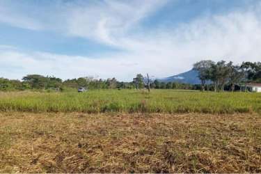 Natural grassy landscape suitable for countryside construction in Chiriquí Panama