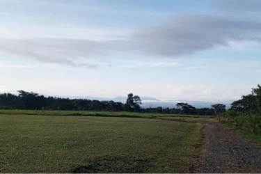 Open agricultural land with mountain backdrop Potrerillos Arriba Panama