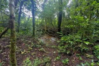 Land for Sale in San Lorenzo - 0 bedrooms