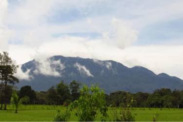 Open grassy mountain lot bordered by trees under blue sky in Potrerillos Arriba Panama