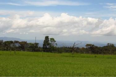 Mountain highland pasture with partial forest views in Potrerillos Arriba Panama