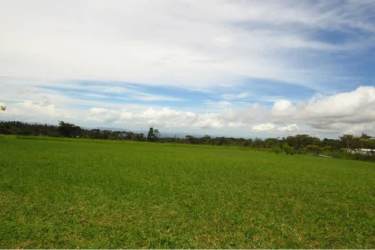 Tropical wooded area with creek on mountain land in Potrerillos Arriba Panama
