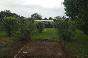 Large lawn with trees shrubs concrete path garden Villa Dora David Chiriquí single family house