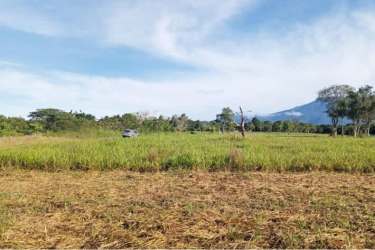 Open grassy mountain-view countryside parcel in Volcán highlands Panama