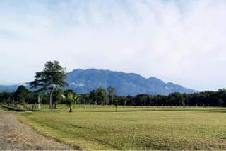 Land for Sale in Dolega - 0 bedrooms