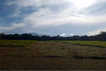 Farmland corner lot with vista of mountains, blue skies in rural Chiriquí Panama