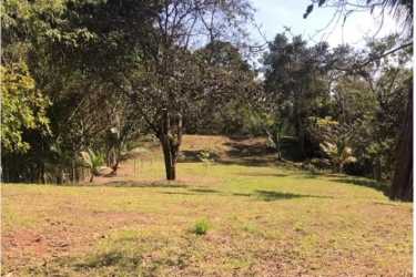 Flat and wooded parcel 6640m² for development in El Nazareno La Chorrera Panama Oeste