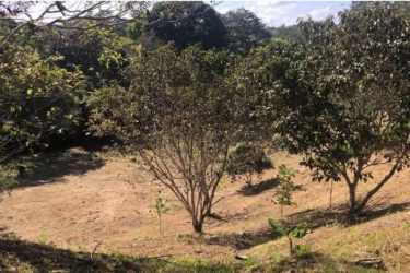 Natural terrain near Perequeté River in El Nazareno La Chorrera Panama for sale development lot