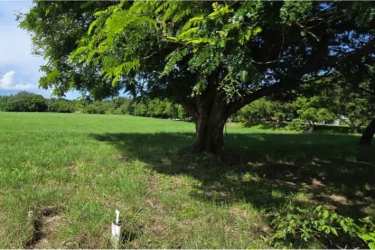 Large flat commercial-zoned lot near Coronado golf and beaches Panama West Coast