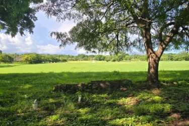 Expansive cleared lot for commercial development near Coronado golf and beach area Panama