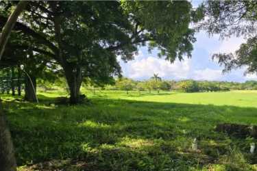 Flat 10,000m² commercial development parcel with road access in Coronado beach town Panama