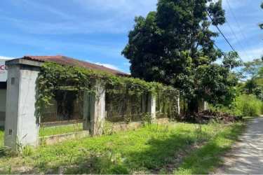 Covered horse stalls building on tropical lot in Bijao near beach Panama