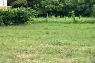 Wide rural Panama land with open grassy areas and tree border near the Pacific in Guanico Abajo