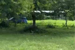 Land for Sale in Tonosí - 0 bedrooms