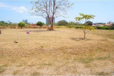 1,000m² Lot in Exclusive Las Palmeras Golf Coronado