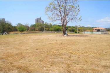 Open vacant lot with trees in luxury golf community Coronado Panama