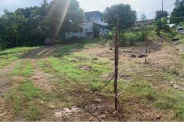 Neighborhood corner lot on asphalted road surrounded by trees Barrio Colón La Chorrera Panama