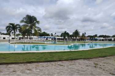 Large outdoor pool area with palm trees in Ibiza Beach Residences II