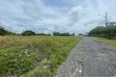 Vacant land plot with utility poles and road access in Coronado Beach Panama