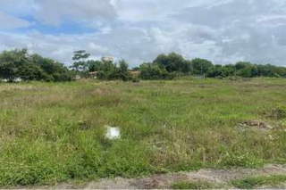 Land for Sale in Chame - 0 bedrooms