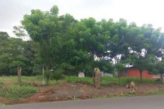 Land for Sale in El Coco - 0 bedrooms