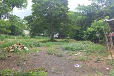 Vacant lot with natural landscape and access road in El Coco La Chorrera Panama
